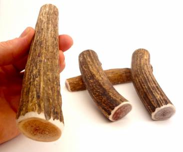 SMALL-WHOLE Rocky Mountain Gobstoppers Premium Elk Antler Dog Chews By-The-Pound 