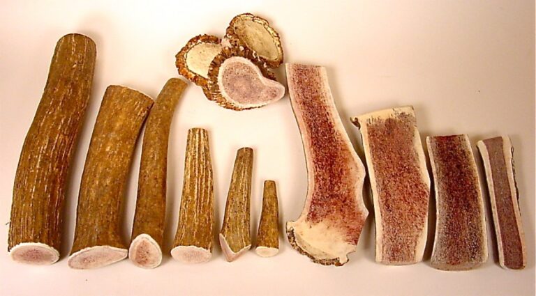 SMALL-WHOLE Rocky Mountain Gobstoppers Premium Elk Antler Dog Chews By-The-Pound - Image 5