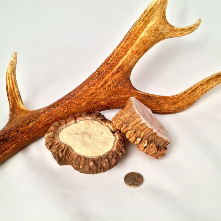 ROCKY MOUNTAIN GOBSTOPPERS Mega Elk Burr Chews By-The-Pound - Image 3