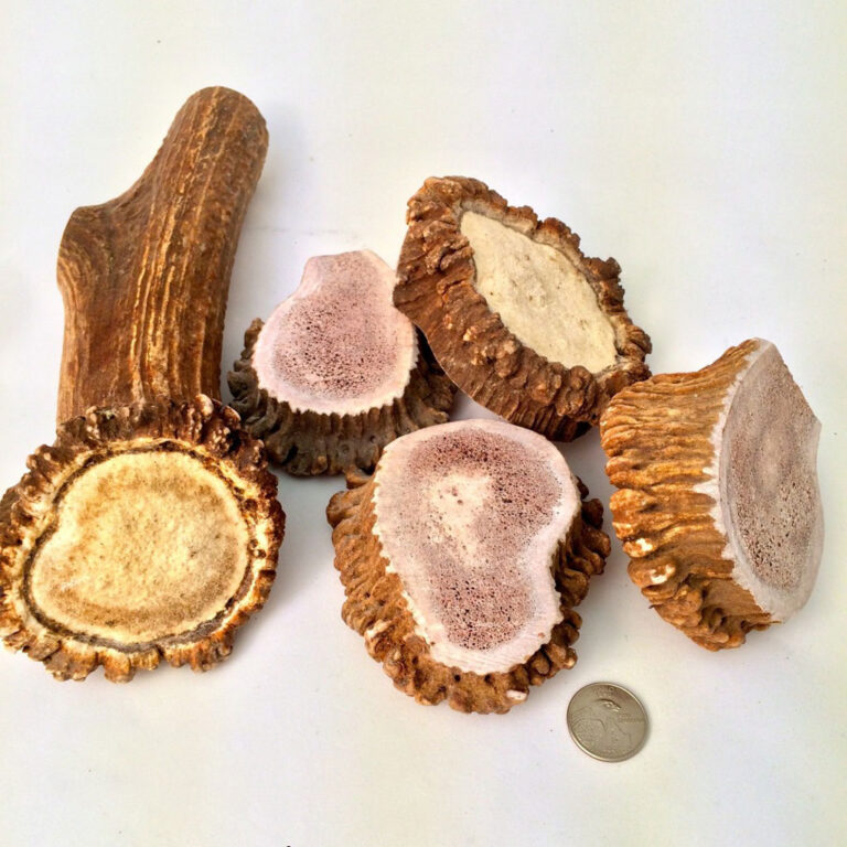 ROCKY MOUNTAIN GOBSTOPPERS Mega Elk Burr Chews By-The-Pound - Image 2