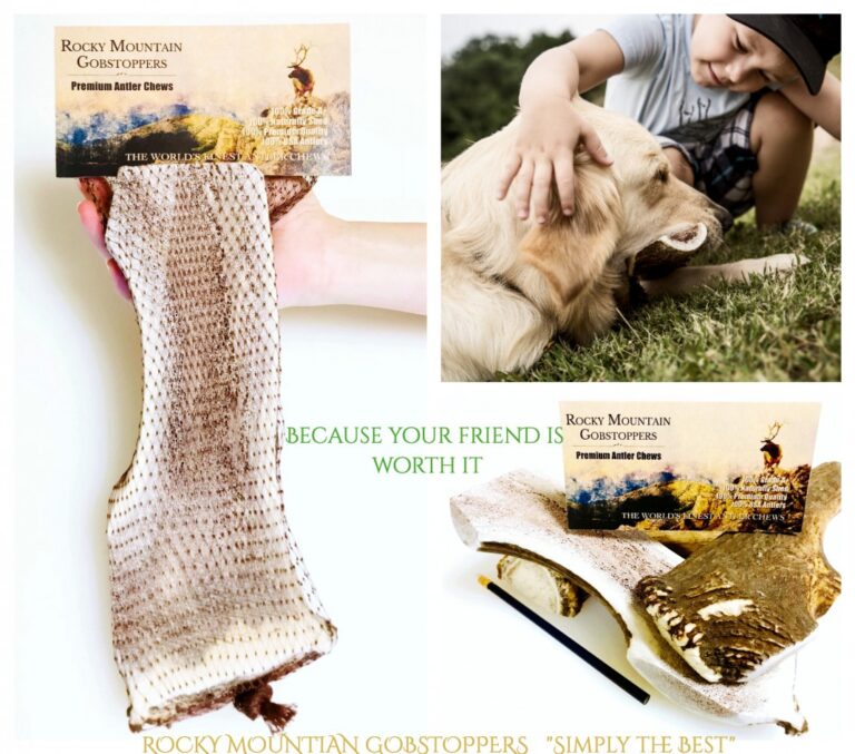 GIANT-SPLIT Rocky Mountain Gobstoppers Premium Elk Antler Dog Chews (By-the-Pound)