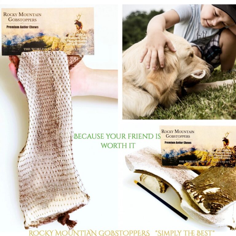 GIANT-SPLIT Rocky Mountain Gobstoppers Premium Elk Antler Dog Chews (By-the-Pound)