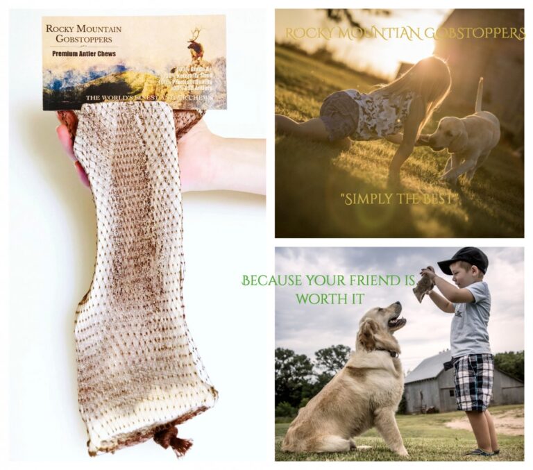 GIANT-SPLIT Rocky Mountain Gobstoppers Premium Elk Antler Dog Chews (By-the-Pound) - Image 4