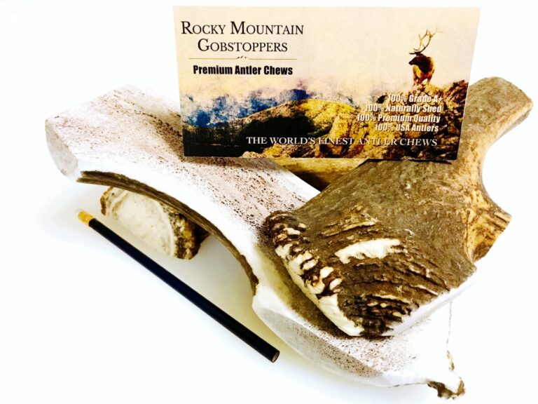 GIANT-SPLIT Rocky Mountain Gobstoppers Premium Elk Antler Dog Chews (By-the-Pound) - Image 2