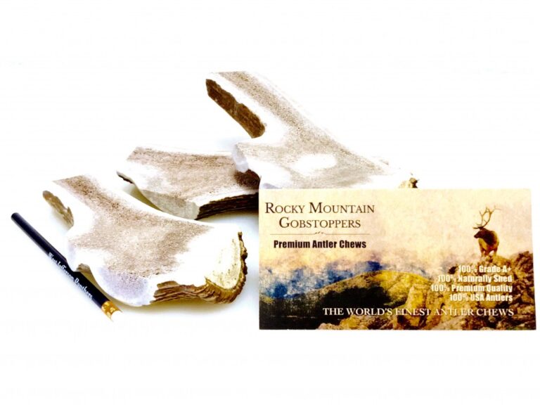 GIANT-SPLIT Rocky Mountain Gobstoppers Premium Elk Antler Dog Chews (By-the-Pound) - Image 3