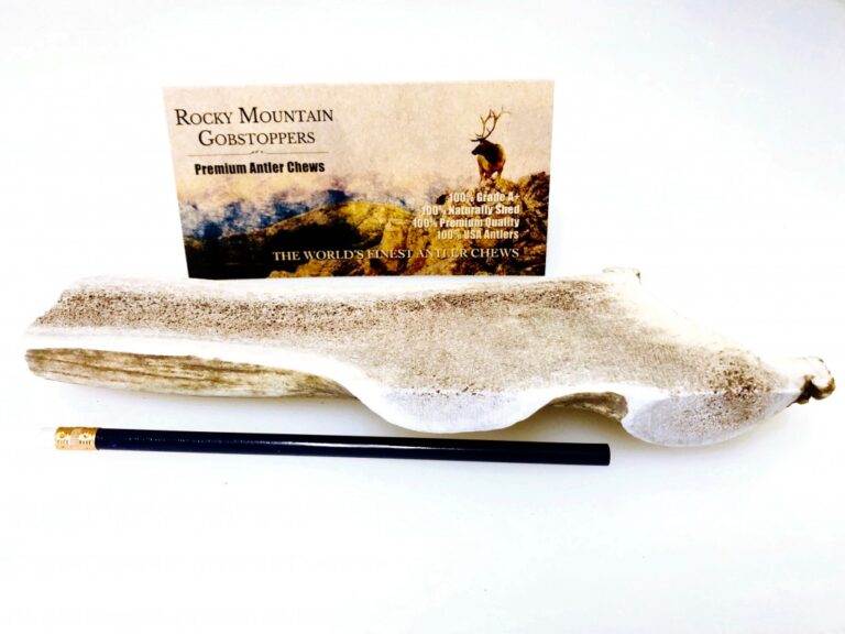 LARGE-SPLIT Rocky Mountain Gobstoppers Premium Elk Antler Dog Chews -( Antlers By-The-Pound)