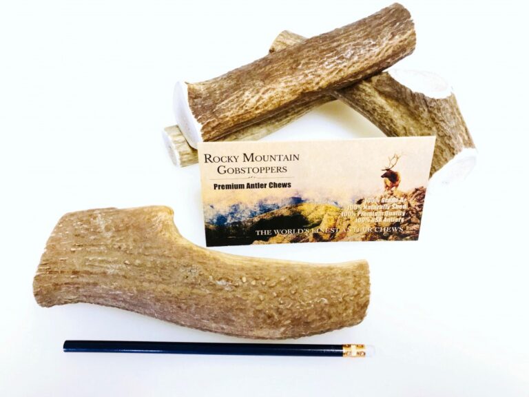 LARGE-WHOLE Rocky Mountain Gobstoppers-Premium Elk Antler Dog Chews (Antlers By-the-Pound) - Image 2