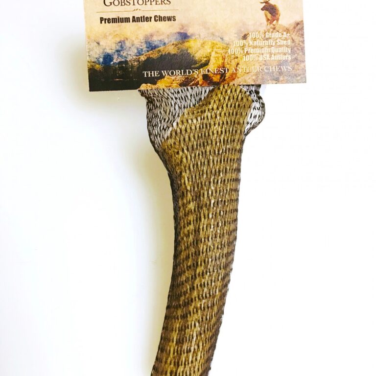 LARGE-WHOLE Rocky Mountain Gobstoppers-Premium Elk Antler Dog Chews (Antlers By-the-Pound)