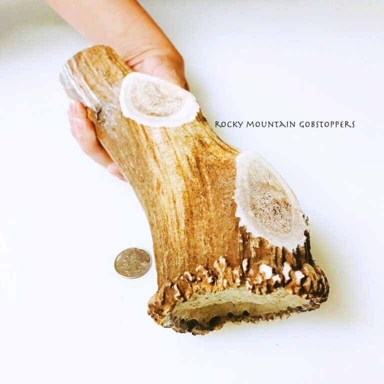 MONSTER WHOLE Rocky Mountain Gobstoppers-Premium Elk Antler Dog Chew
