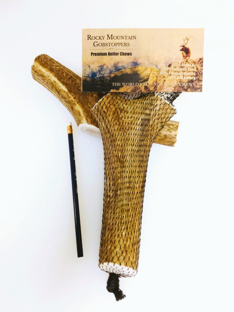 X-LARGE-WHOLE- Rocky Mountain Gobstoppers Premium Elk Antler Dog Chews By-the-Pound