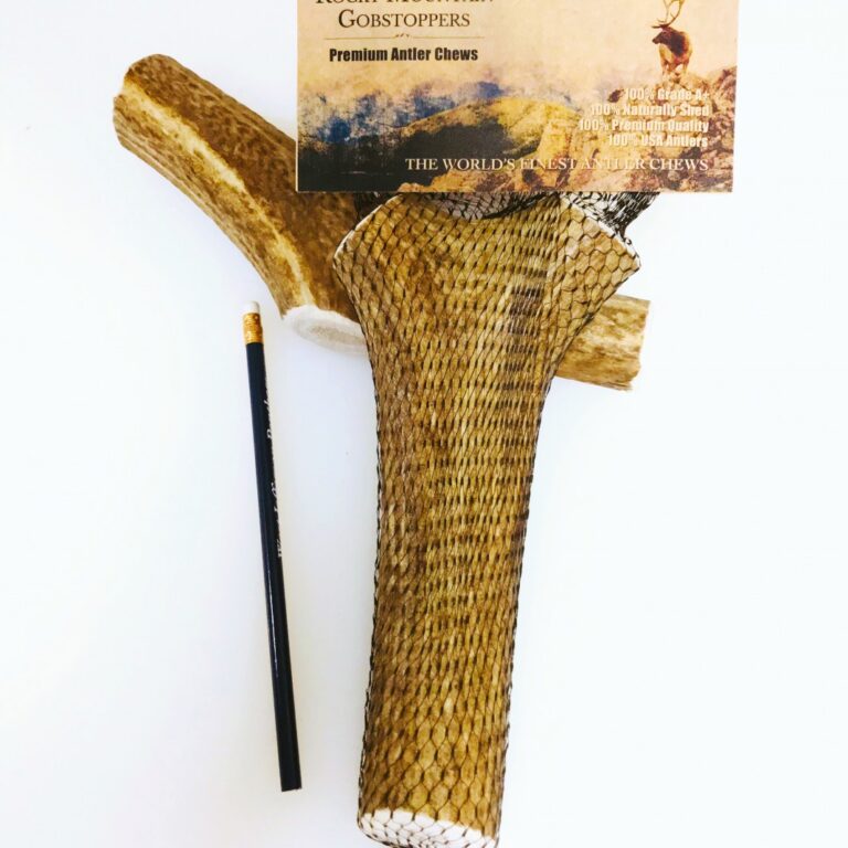 X-LARGE-WHOLE- Rocky Mountain Gobstoppers Premium Elk Antler Dog Chews By-the-Pound