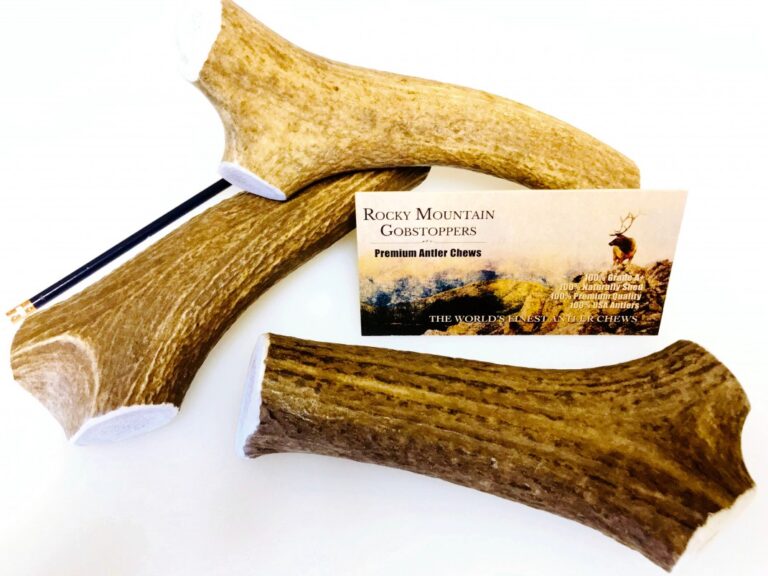 X-LARGE-WHOLE- Rocky Mountain Gobstoppers Premium Elk Antler Dog Chews By-the-Pound - Image 3