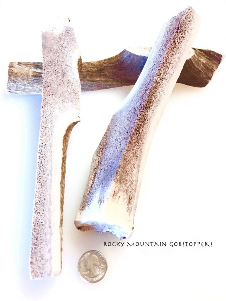 X-LARGE Quartered Split Rocky Mountain Gobstoppers Premium Elk Antler Dog Chews By-the-Pound