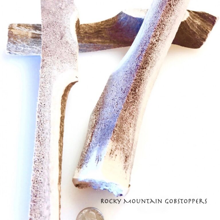 X-LARGE Quartered Split Rocky Mountain Gobstoppers Premium Elk Antler Dog Chews By-the-Pound