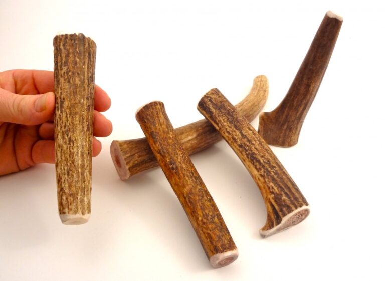 SMALL-WHOLE Rocky Mountain Gobstoppers Premium Elk Antler Dog Chews By-The-Pound