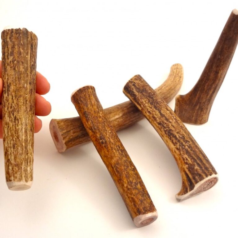 SMALL-WHOLE Rocky Mountain Gobstoppers Premium Elk Antler Dog Chews By-The-Pound