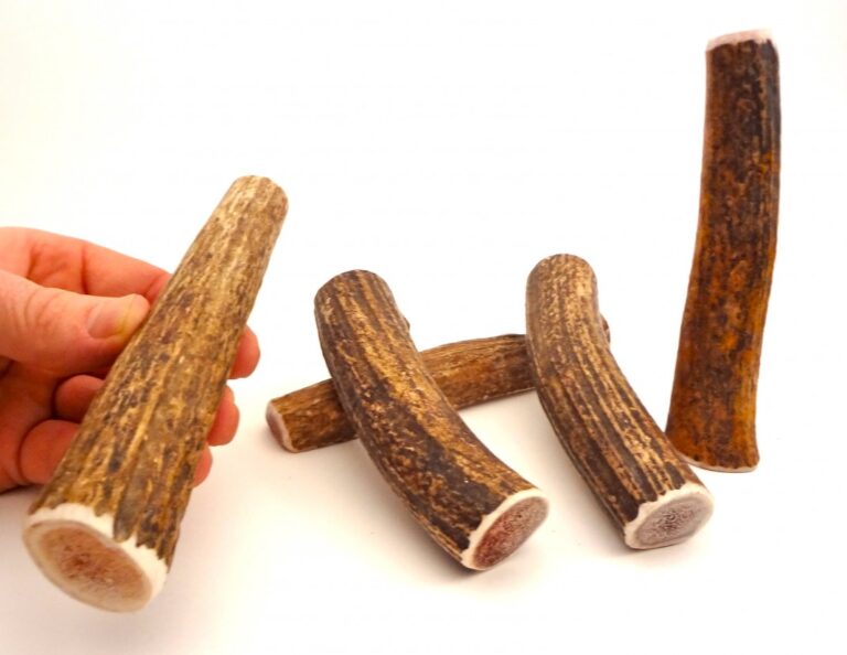 SMALL-WHOLE Rocky Mountain Gobstoppers Premium Elk Antler Dog Chews By-The-Pound - Image 4