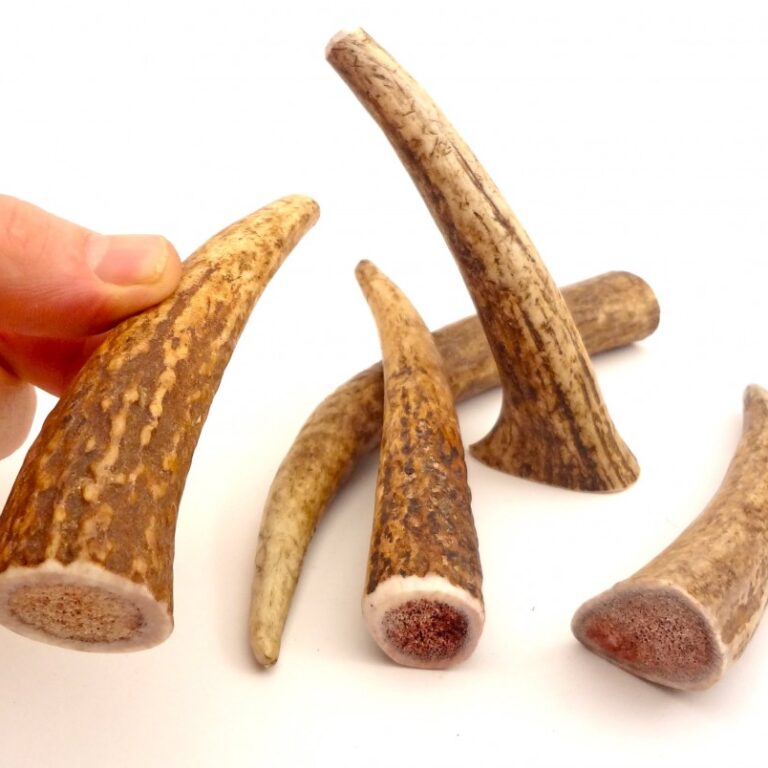 PETITE- WHOLE Rocky Mountain Gobstoppers Premium Elk Antler Dog Chews By-The-Pound