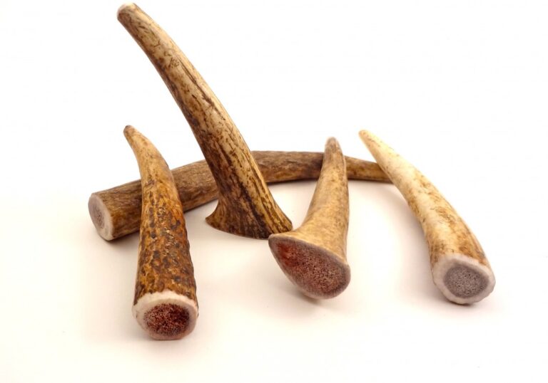 PETITE- WHOLE Rocky Mountain Gobstoppers Premium Elk Antler Dog Chews By-The-Pound - Image 2
