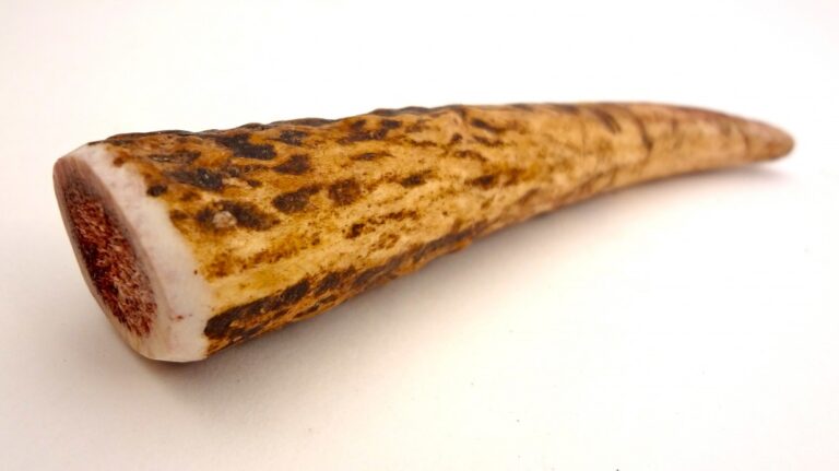 PETITE- WHOLE Rocky Mountain Gobstoppers Premium Elk Antler Dog Chews By-The-Pound - Image 3
