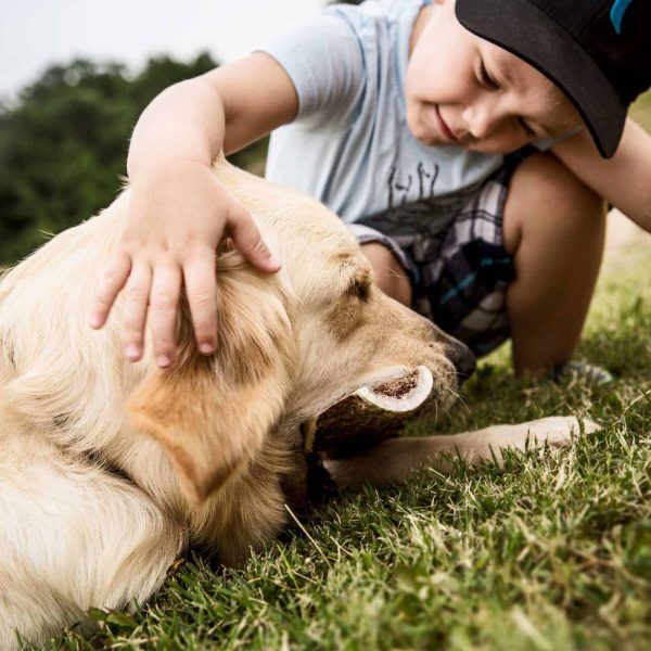 boy-petting-dog-with-antler-dog-chew