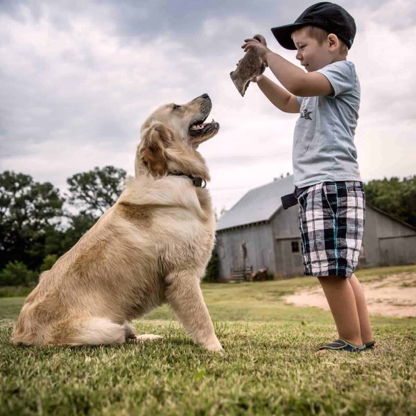 boy-with-puppy-antler-dog-chew