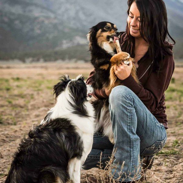 two-dogs-antler-chew-with-woman